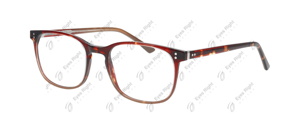 N4789 52/19 5024 Brown Medium Demi
