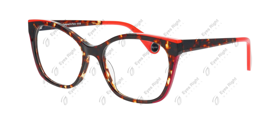 Play Again 3 55/17 5002 Tortoise