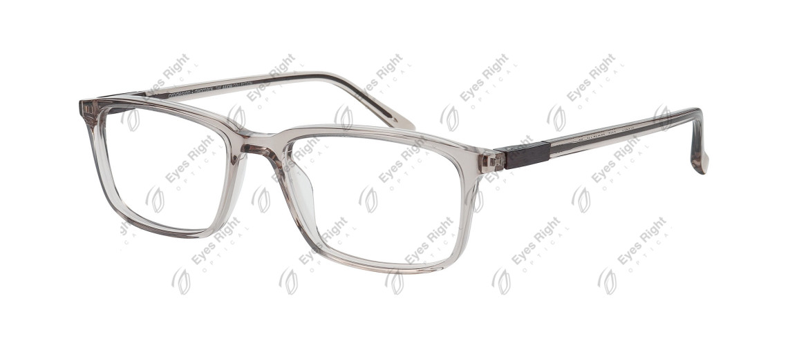 Block 3 52/17 6415 Grey/Brown Light Transparent