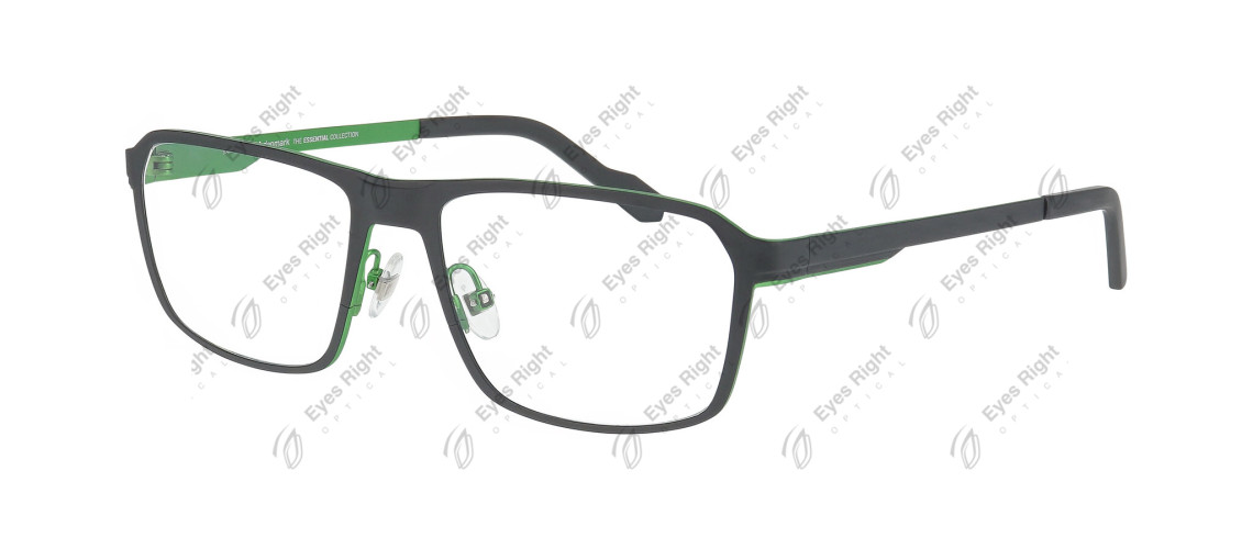 PDFLAKE4-6021