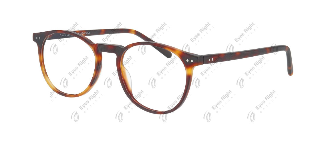 30197 49/19 5421 Tortoise Medium Matt