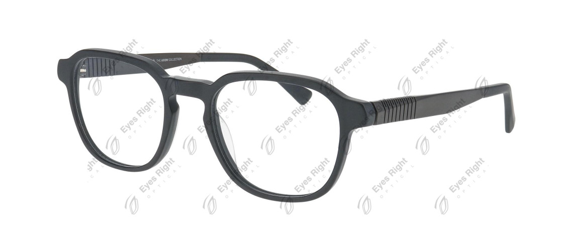 PDPROFLEXA2-6031