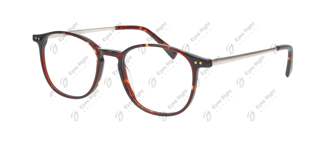 BECKTON 1 49/18 5422 Tortoise Medium Shiny
