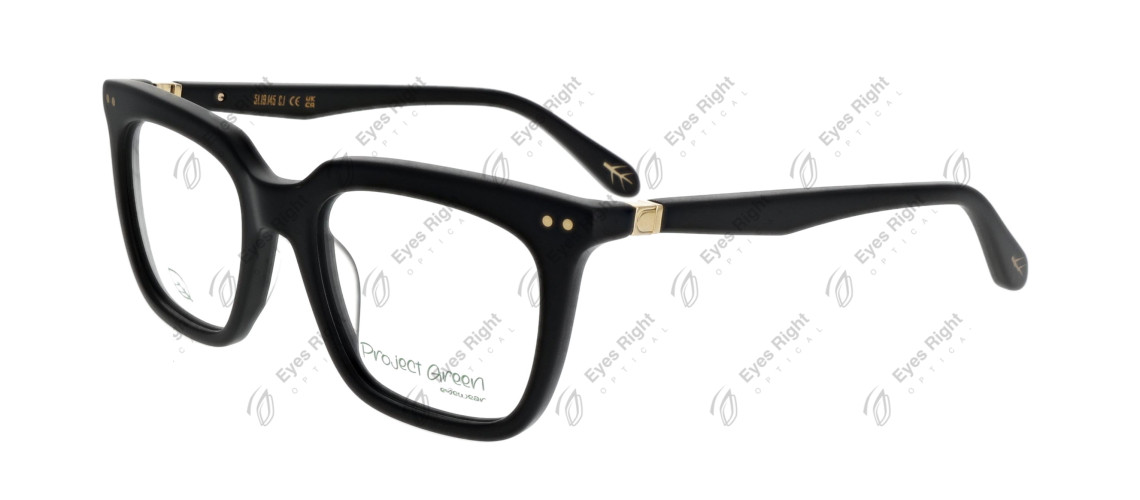 Banksia 51/19 C1 Matt Black